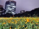 img0023.jpg