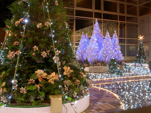 img0005.jpg