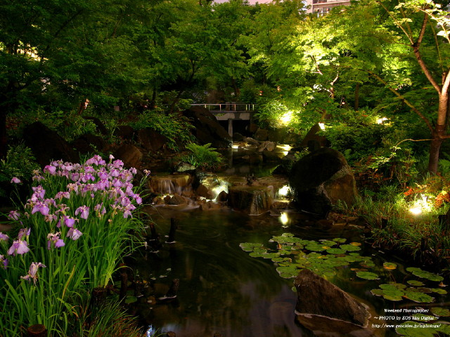 img0017.jpg