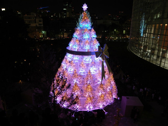 img0019.jpg