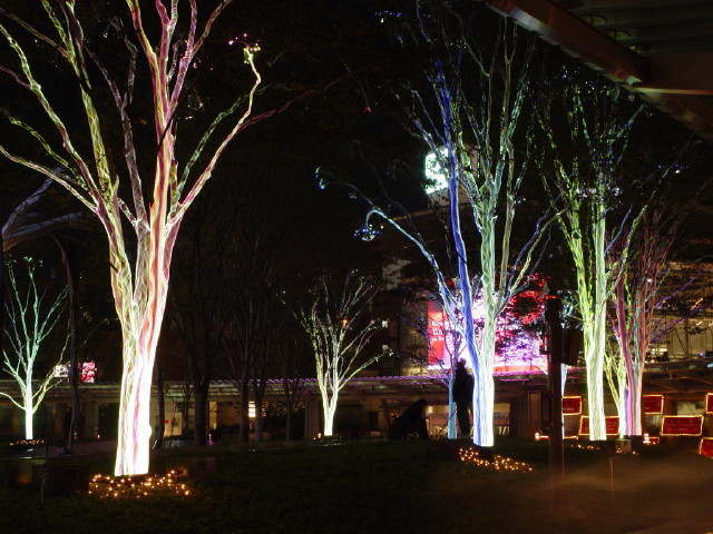 img0025.jpg