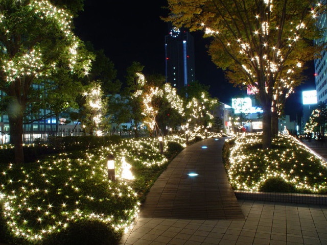 img0056.jpg