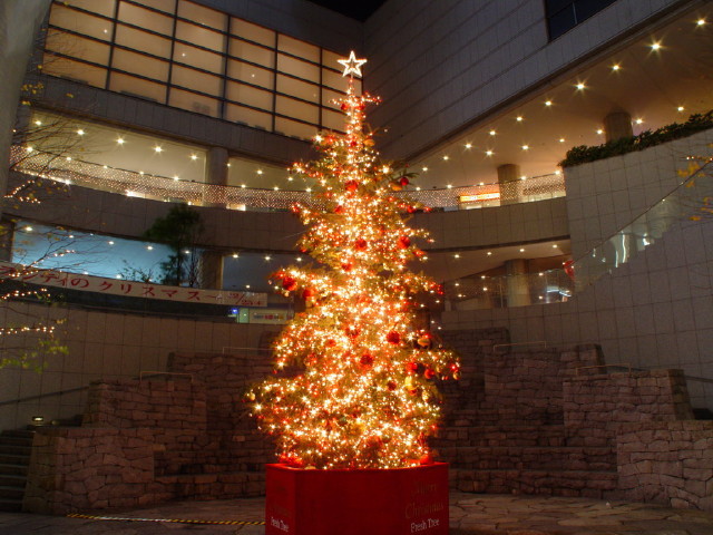 img0058.jpg