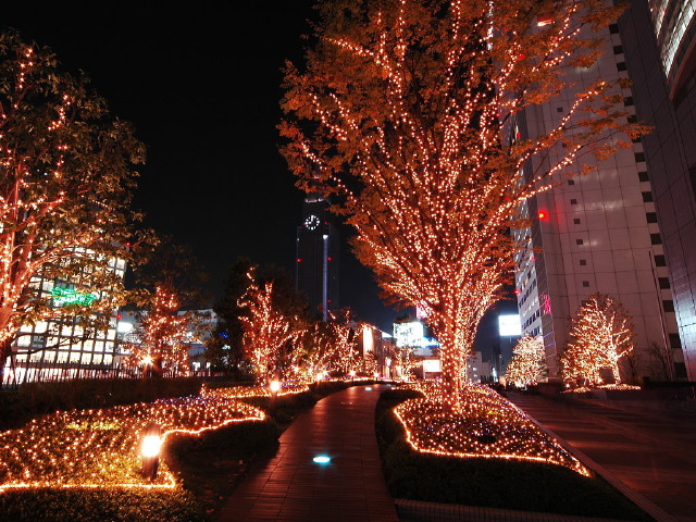 img0063.jpg