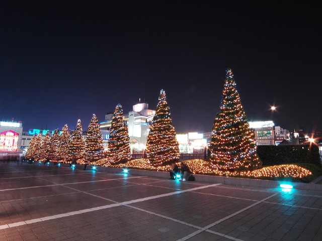 img0064.jpg