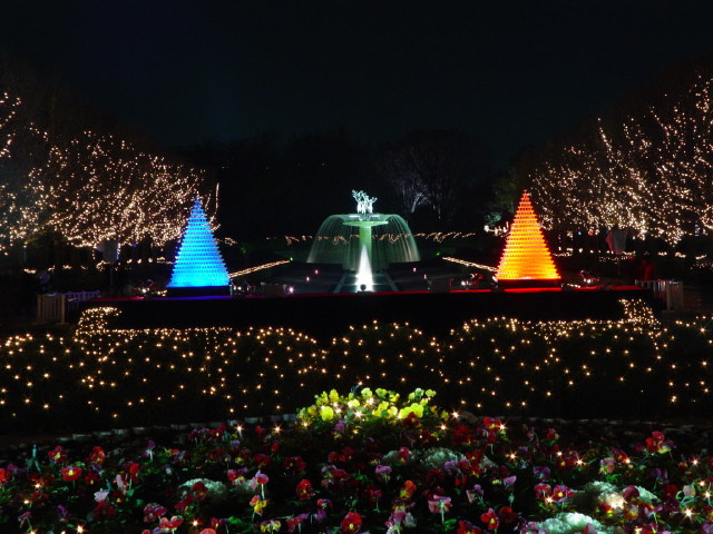 img0085.jpg
