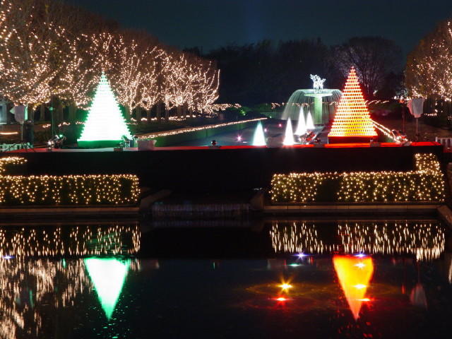 img0086.jpg