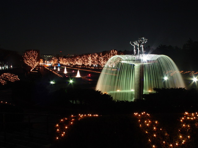 img0088.jpg