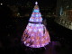 img0019.jpg