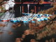 img0038.jpg