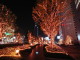 img0063.jpg
