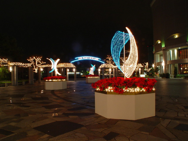 img0001.jpg