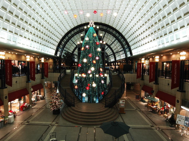 img0004.jpg