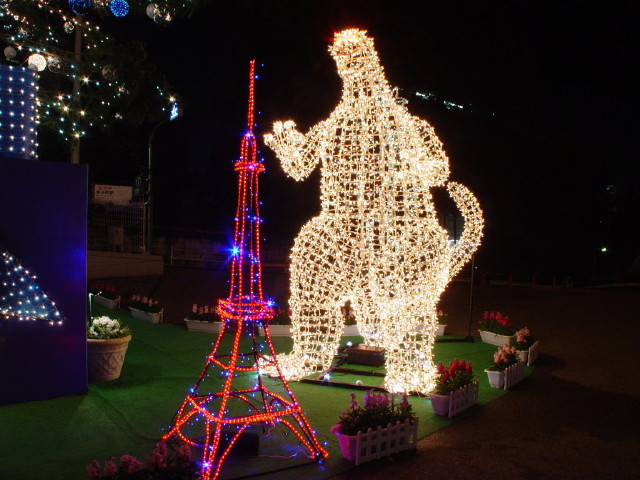 img0016.jpg