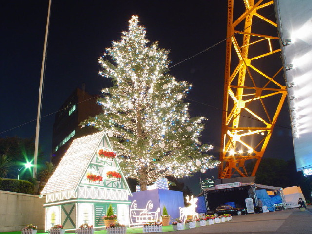 img0019.jpg