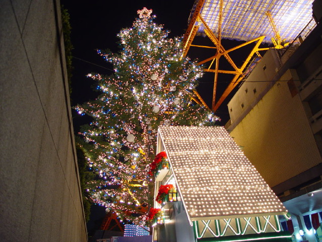img0020.jpg