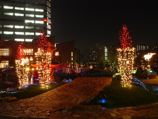img0025.jpg