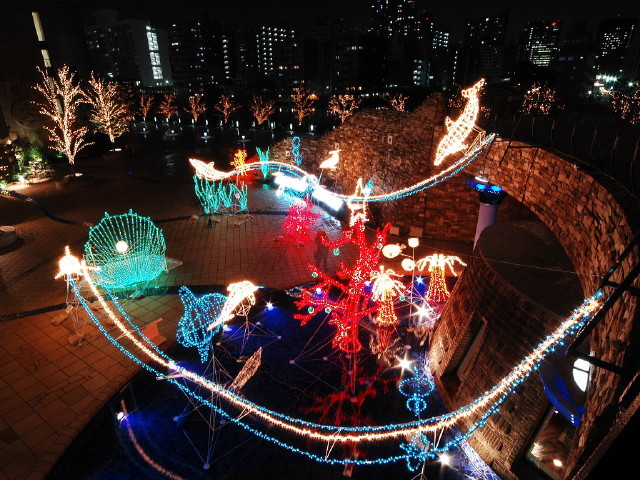 img0028.jpg