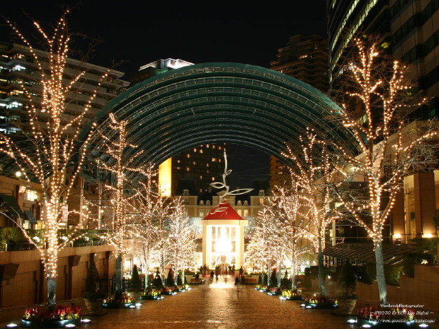 img0077.jpg