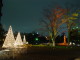 img0003.jpg