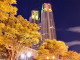 img0012.jpg