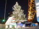 img0019.jpg