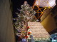 img0020.jpg