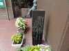 img0002.jpg