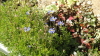 img0037.jpg