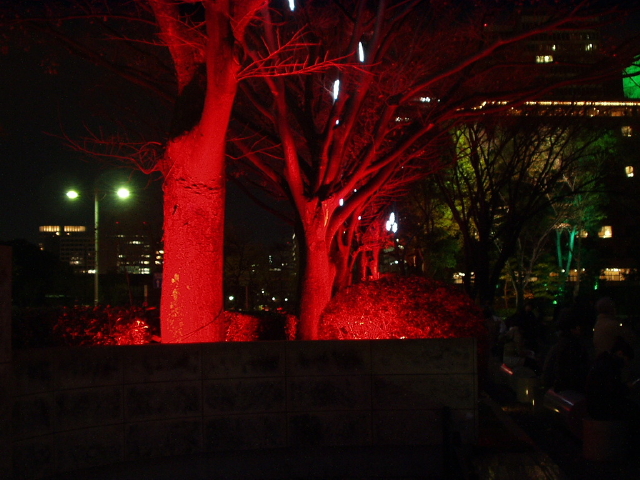 img0004.jpg