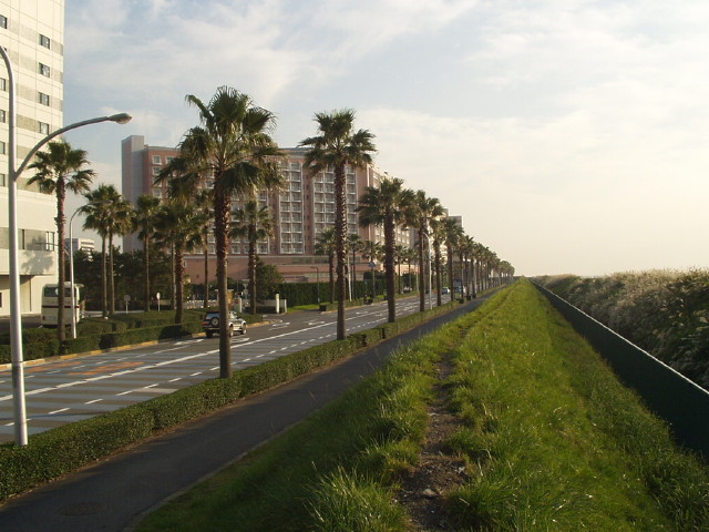 img0002.jpg