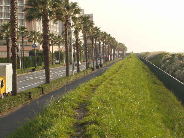 img0003.jpg