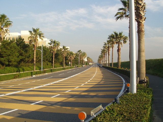 img0007.jpg