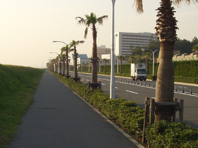 img0012.jpg