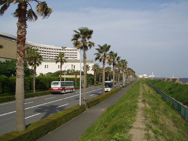 img0029.jpg
