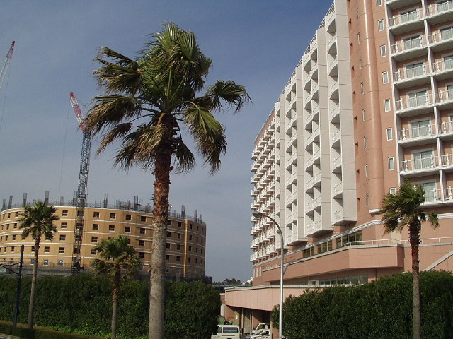 img0039.jpg