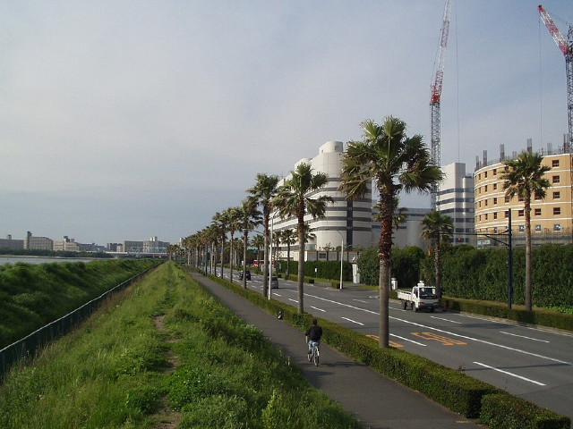 img0040.jpg
