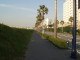 img0006.jpg
