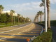 img0007.jpg