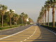 img0008.jpg