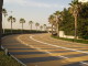 img0009.jpg
