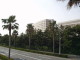 img0031.jpg