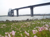 img0006.jpg