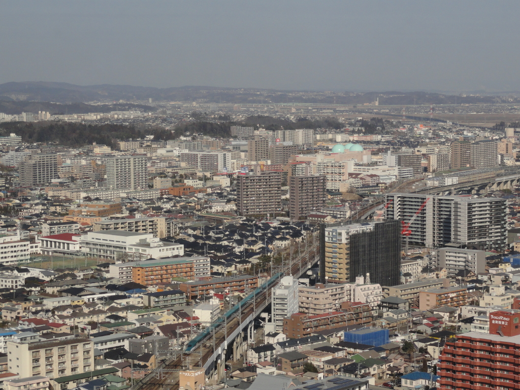 img0005.jpg