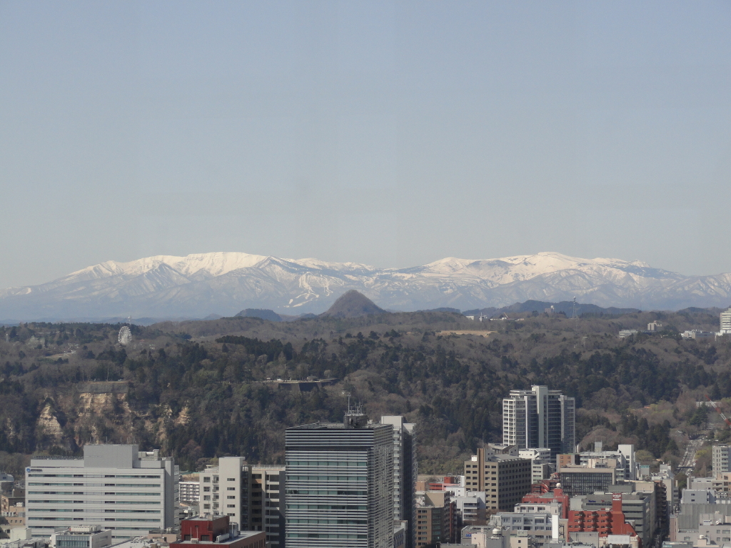 img0019.jpg
