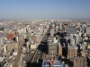 img0007.jpg