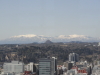 img0019.jpg