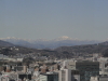 img0020.jpg
