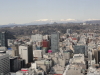 img0031.jpg
