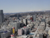 img0033.jpg